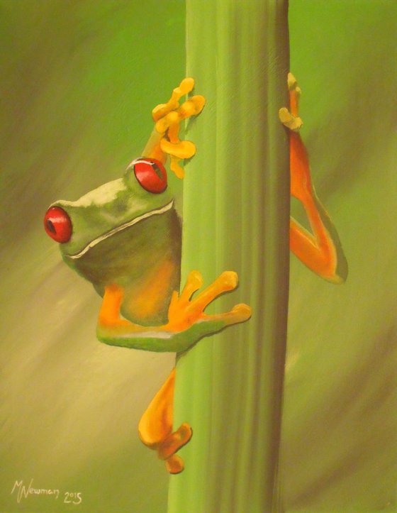 Tree Frog