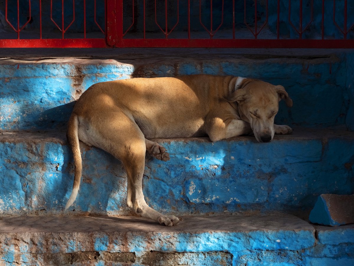 lazy morning by Jacek Falmur