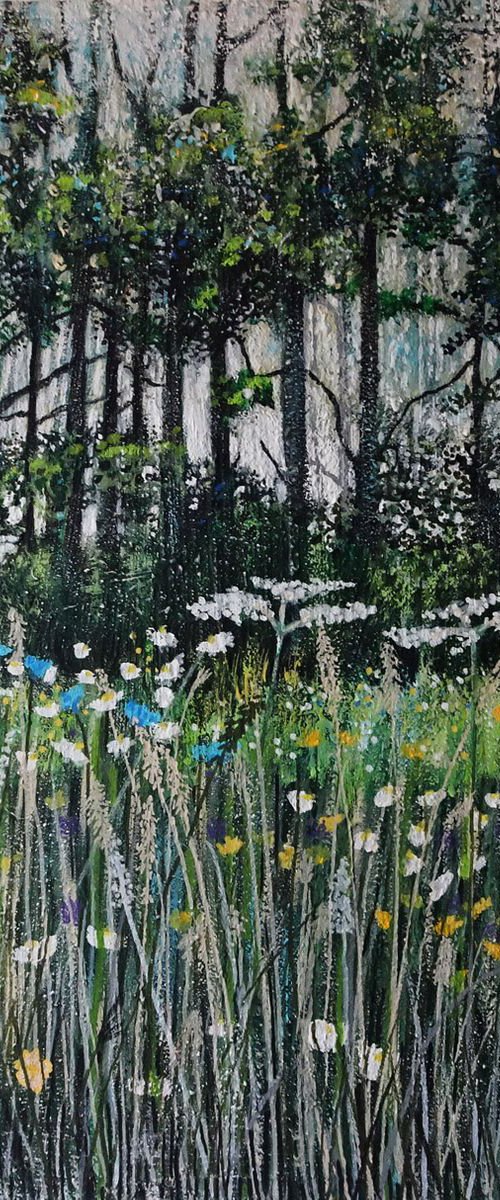 Wildflower Meadow by Roz Edwards