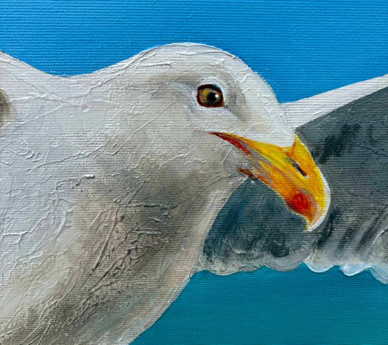 "Seagull"