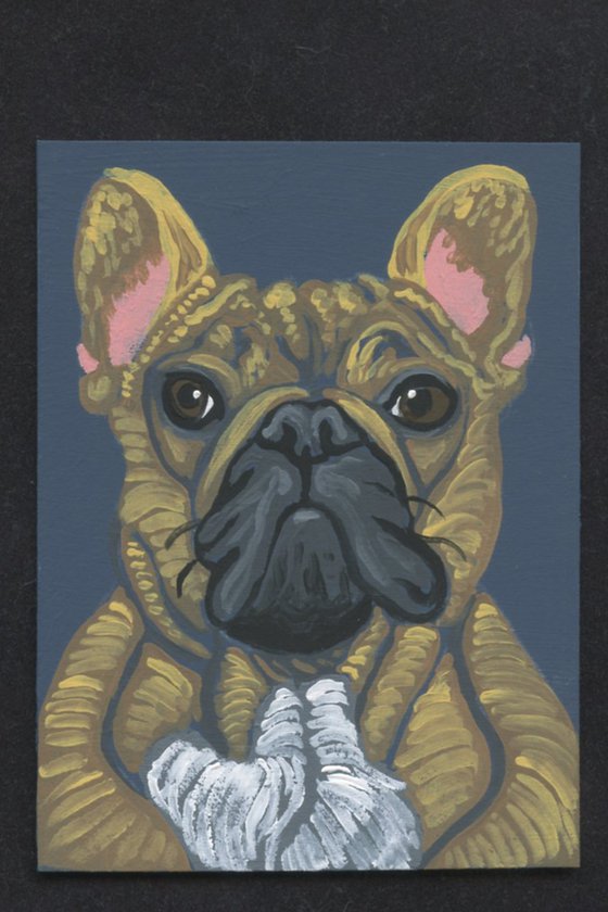 Tan French Bulldog