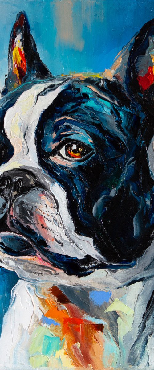 Boston Terrier by Liubov Kuptsova