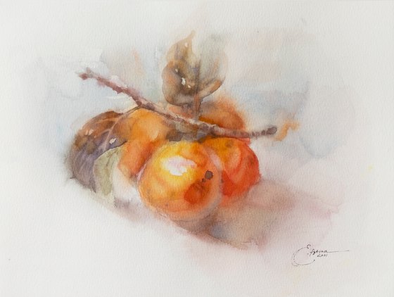 Persimmon