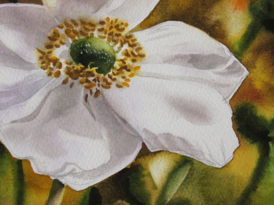 A painting a day #10 "Japanese anemone"