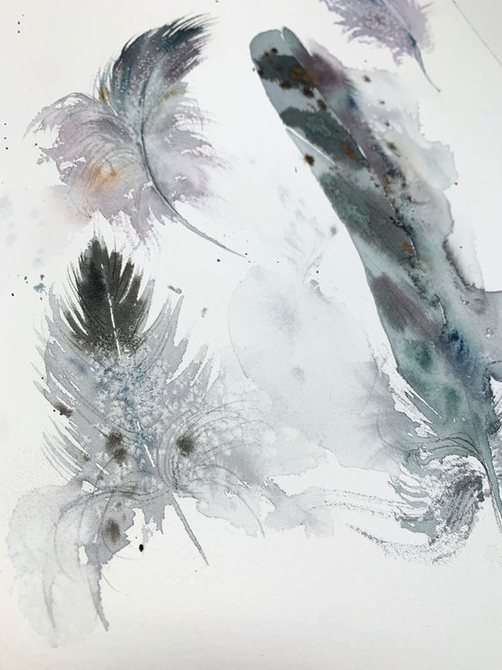 Feathers #3