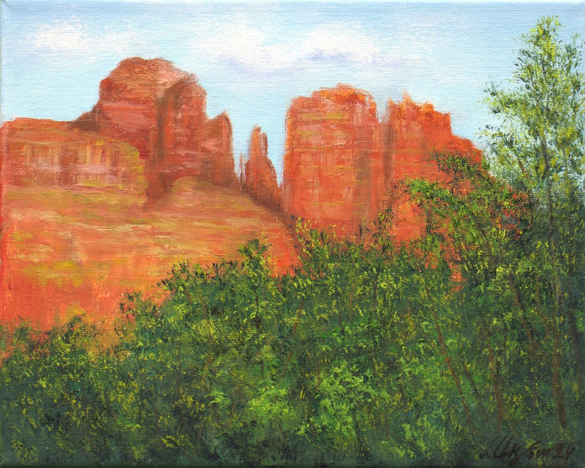 Arizona landscape by Ludmilla Ukrow