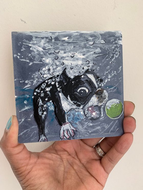Catch! Acrylic Painting of Dog Underwater Catch Tennis Ball Fun Art Home Decor Gift Ideas