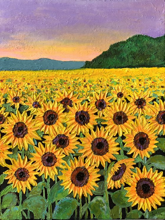 Sunflowers field at sunset