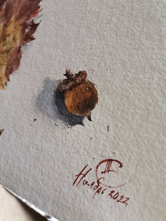 Still life with grape leaf and acorn. Details of nature
