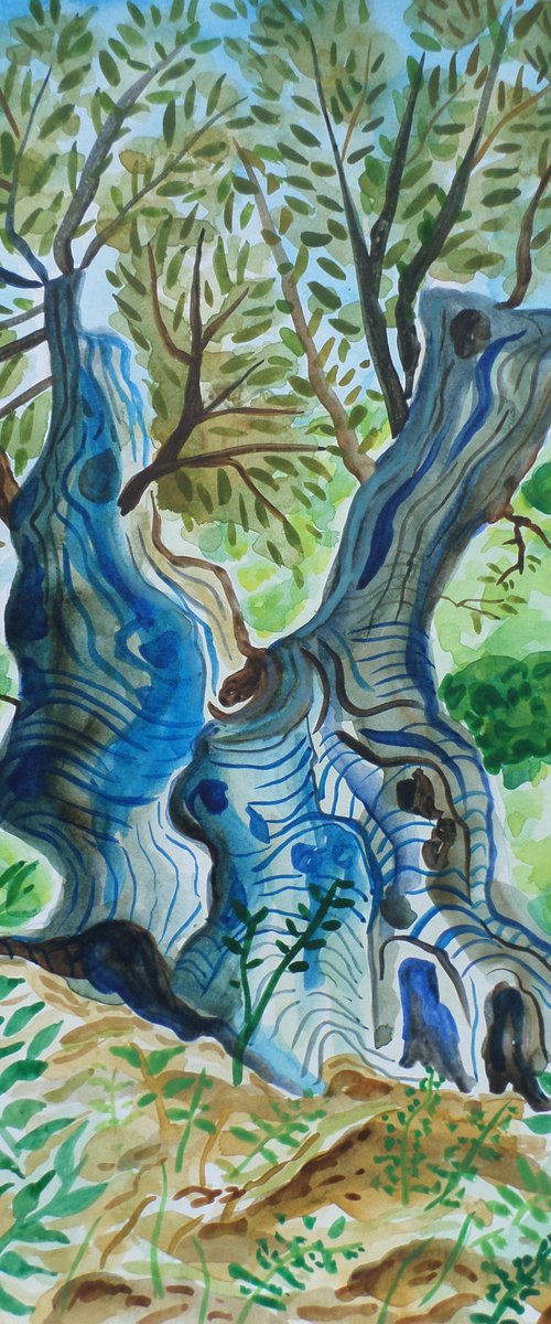 Olivo IV by Kirsty Wain