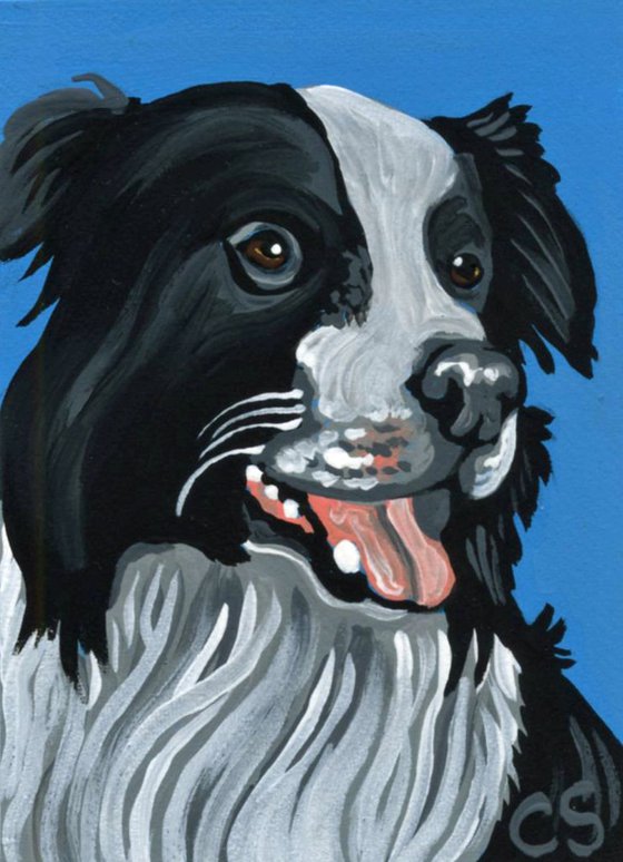 ACEO ATC Original Painting Border Collie Pet Dog Art-Carla Smale