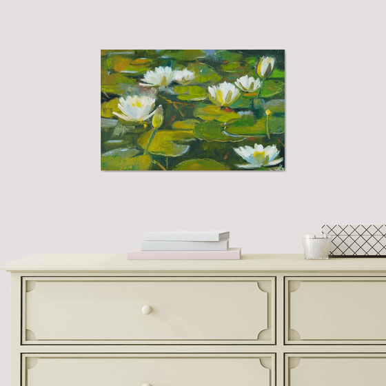 Pond with water Lilies