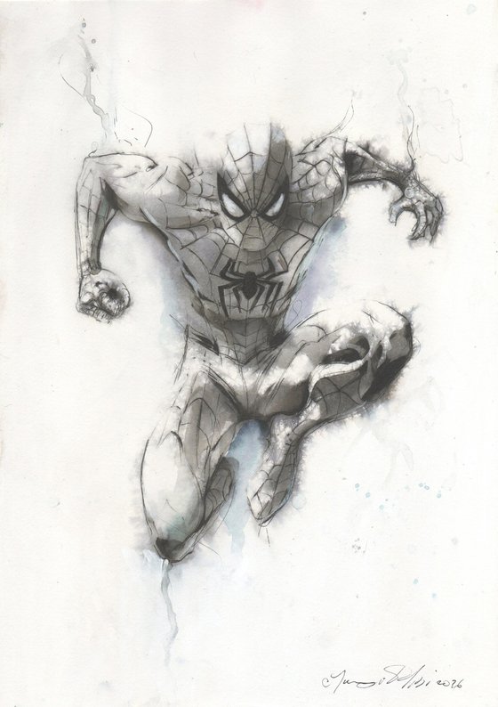 A Spider on the Wall