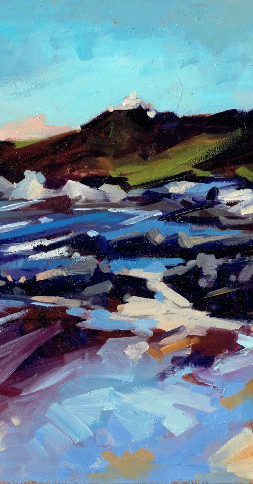 Morte Point, Woolacombe by Louise Collis