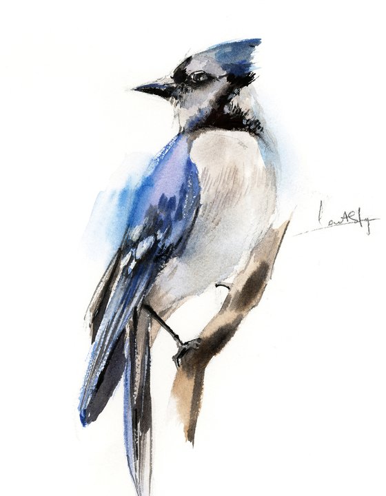 Blue jay birds watercolor painting 2 set