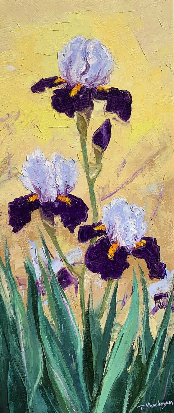 Irises at Sunrise A3  30x70cm