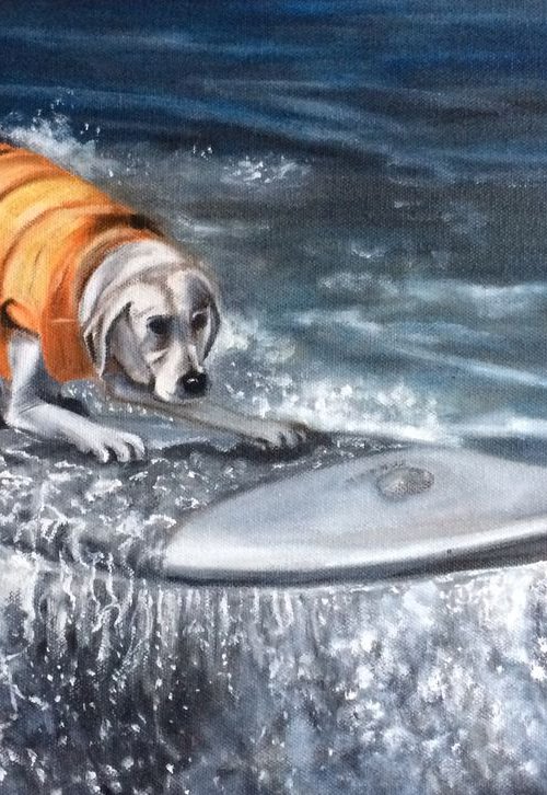 Labrador surfer catches wave by Ira Whittaker