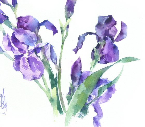 Dance of the purple irises