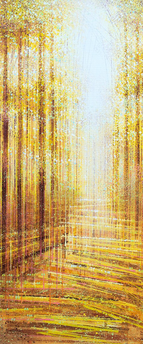 Autumn Trees In Golden Light by Marc Todd