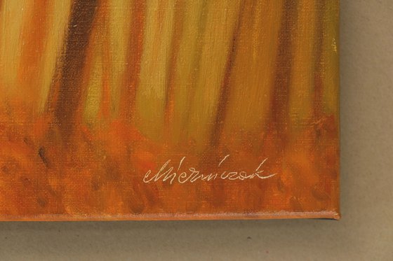 Forest in the evening