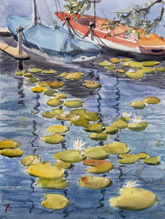 Water lilies and sailing boats