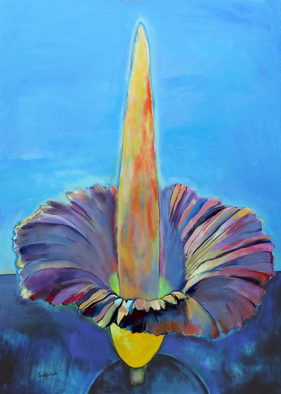 Amorphophallus Titanum
