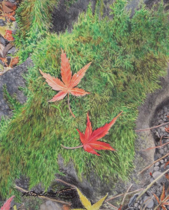 Fallen Leaves On A Mossy Rock