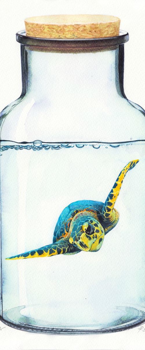 Turtle in Glass IX by REME Jr.