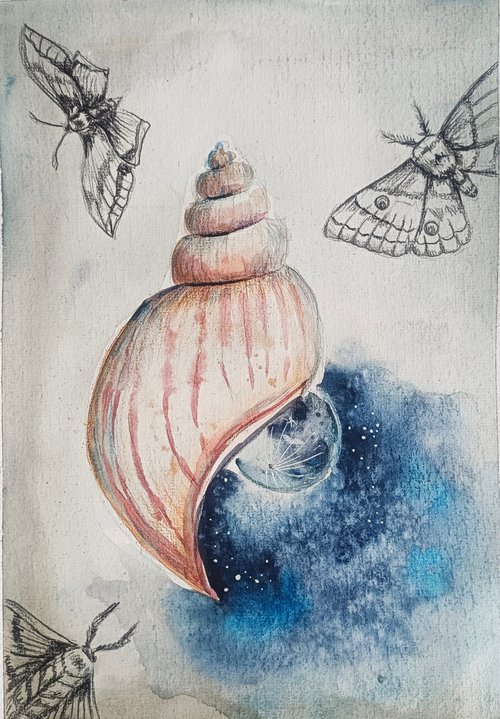Night Seashell (small) by Evgenia Smirnova