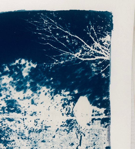 ZIP-LINING cyanotype print