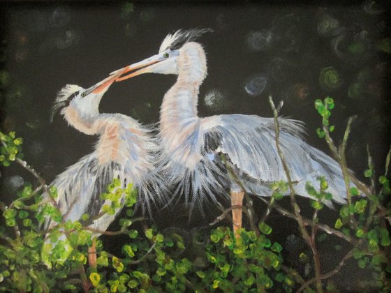 BLUE HERONS IN LOVE