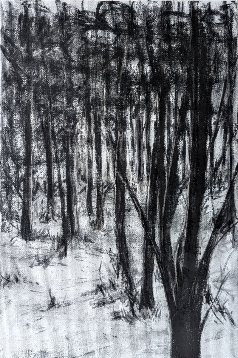 Photorealistic Landscape Charcoal Drawing By Sophie Adair, 11 X 15", One Day In Winter, Original Artwork