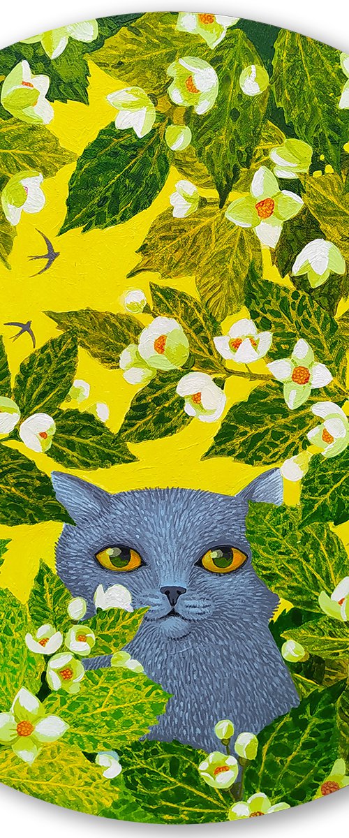 Songs of swifts by Margot Raven
