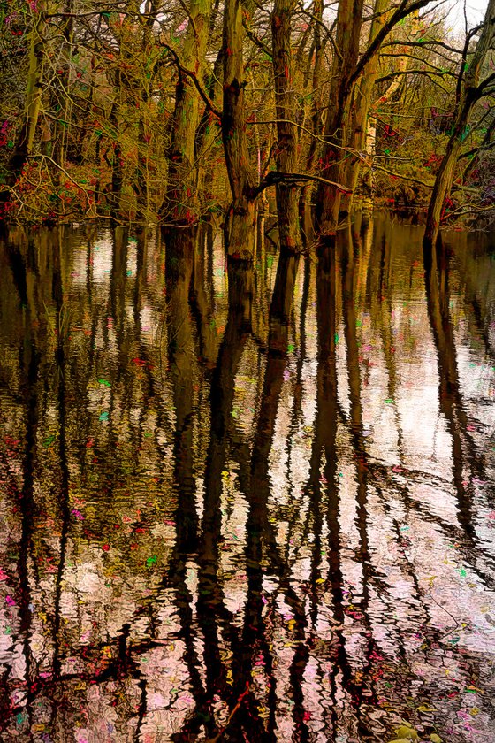 Reflections