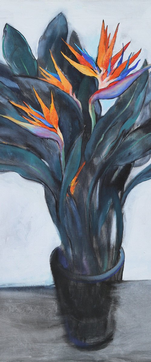 Strelitzia (Bird of Paradise) by Artem Andreichuk