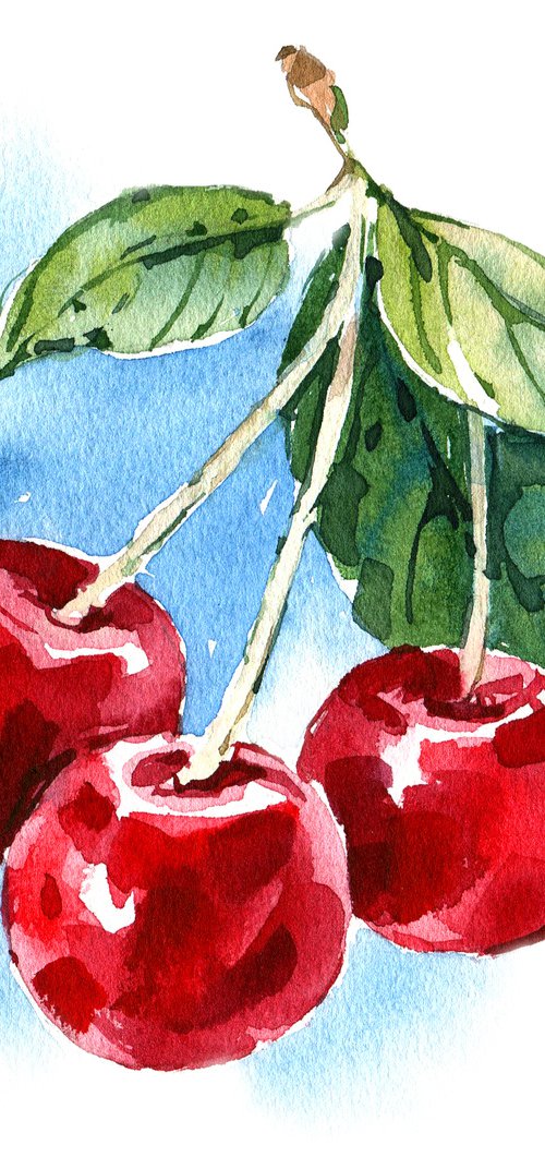 "Cherry" from the series of watercolor illustrations "Berries" by Ksenia Selianko