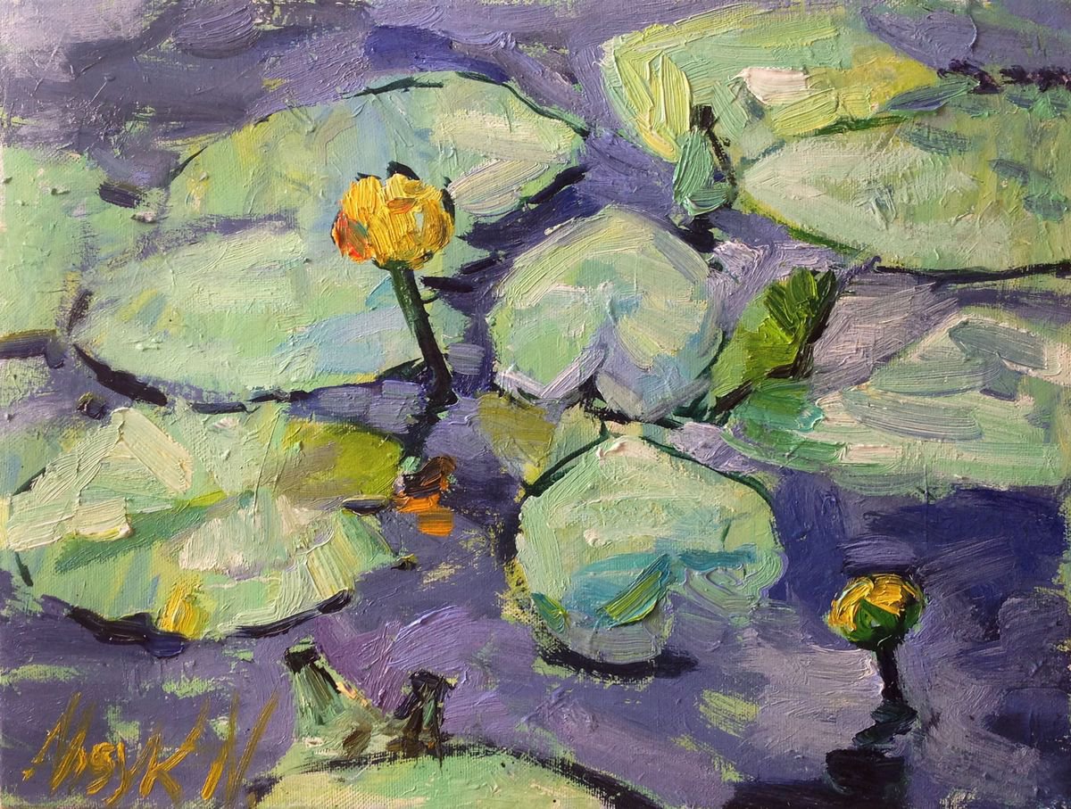 Rainy day. Water lily. Pond light oil painting river original oil painting by Nataliia Nosyk