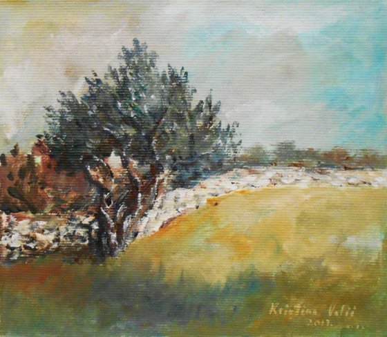 Olive tree