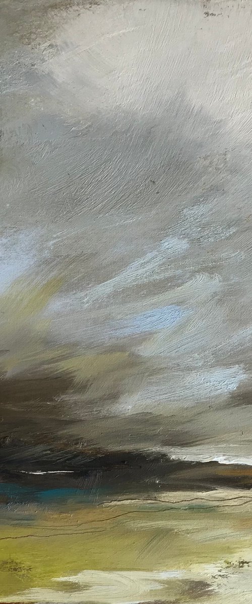 A Blanket of Sky by Belinda Reynell