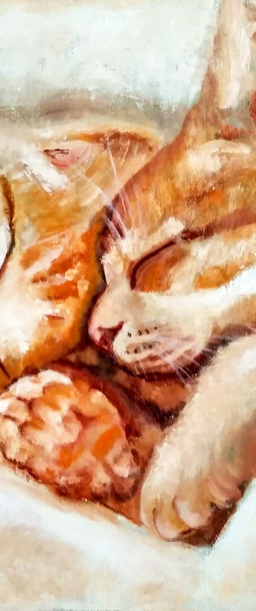 Sweet Dreams by Yulia Berseneva