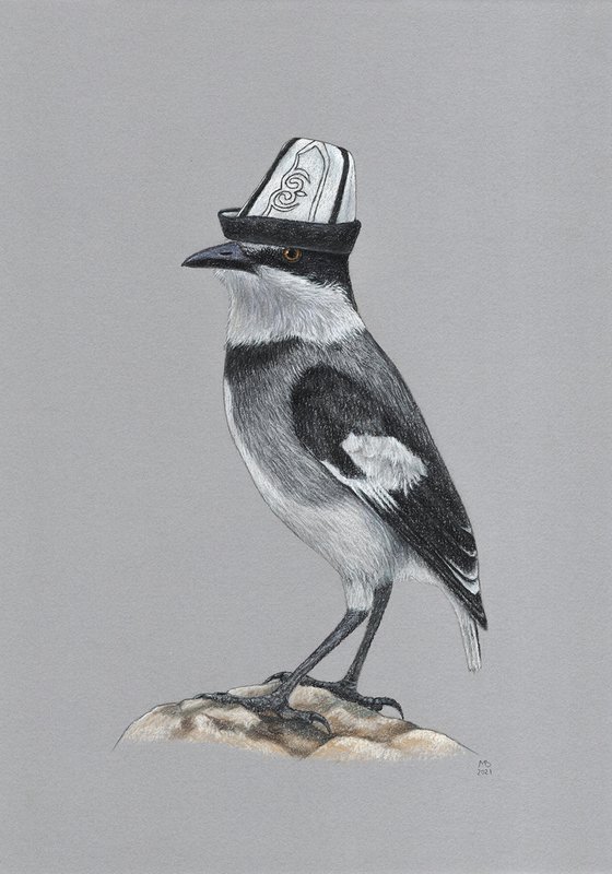 Original pastel drawing bird "White-tailed Shrike"