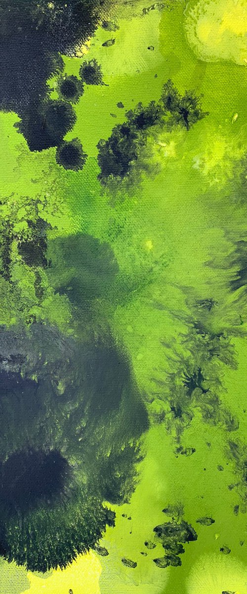 Yellow Iris by Bobbie Whittaker