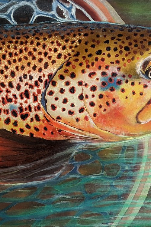 Trout - the gold of the rivers by Artem _Ar.Ko