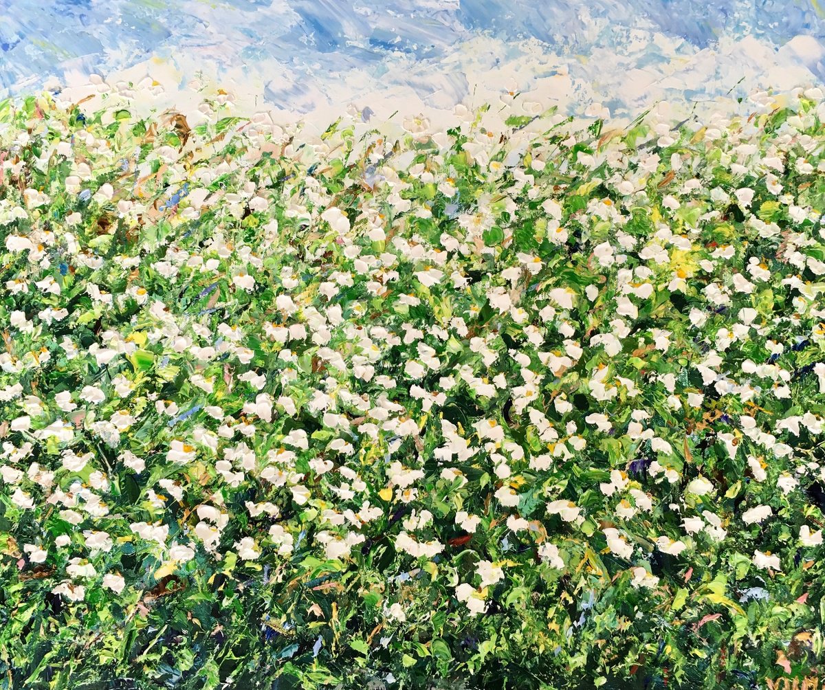 Daisies by Vilma Gataveckien?