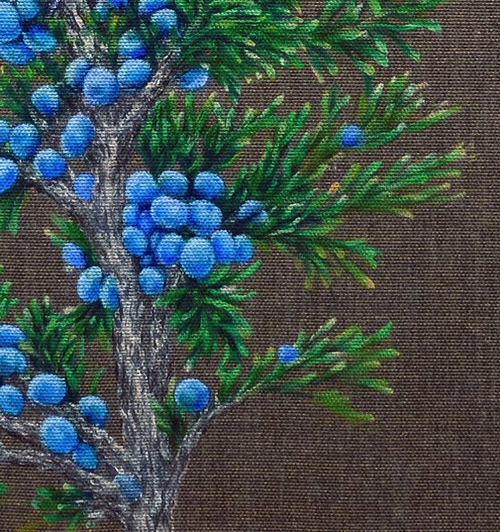 Juniper Watcher