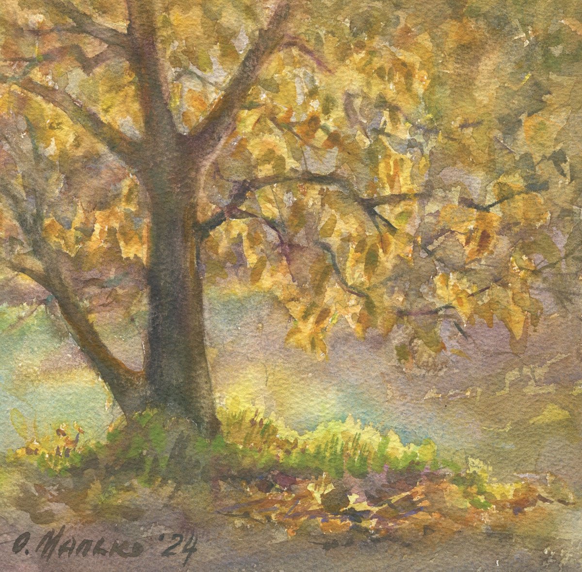 Shining Autumn. Walnut tree by Olha Malko