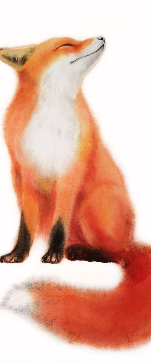 Red Fox by Olga Beliaeva Watercolour