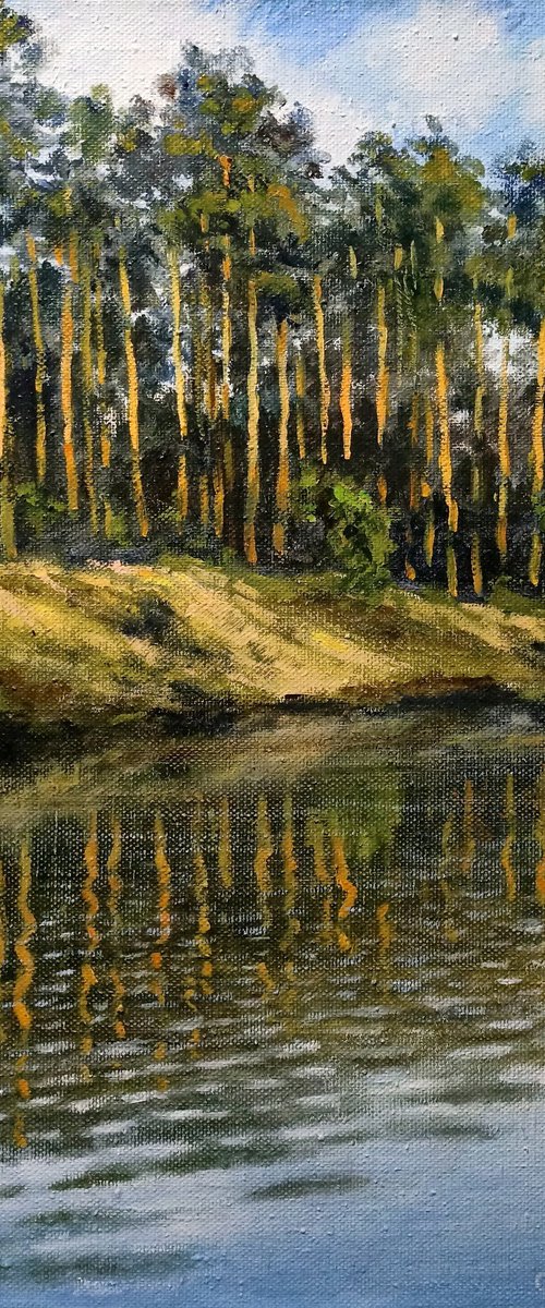 Pine trees by the river 2 by Oleh Rak