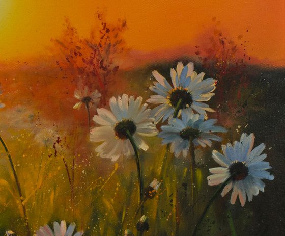 Chamomile Sunset