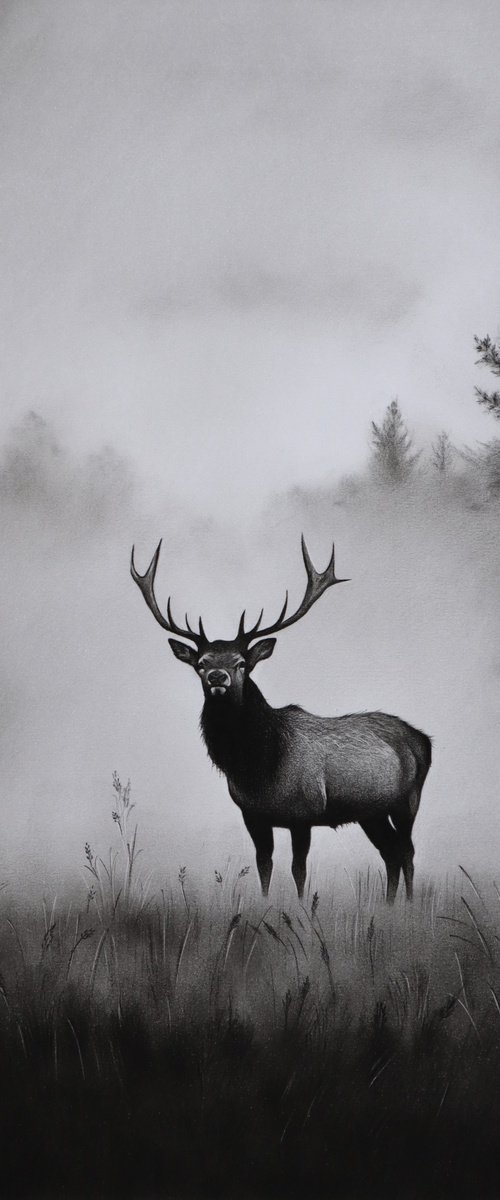 Deer Drawing by Mariam Darchiashvili